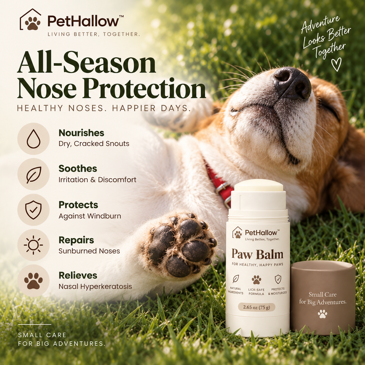 PetHallow balm concept shown outdoors with a dog