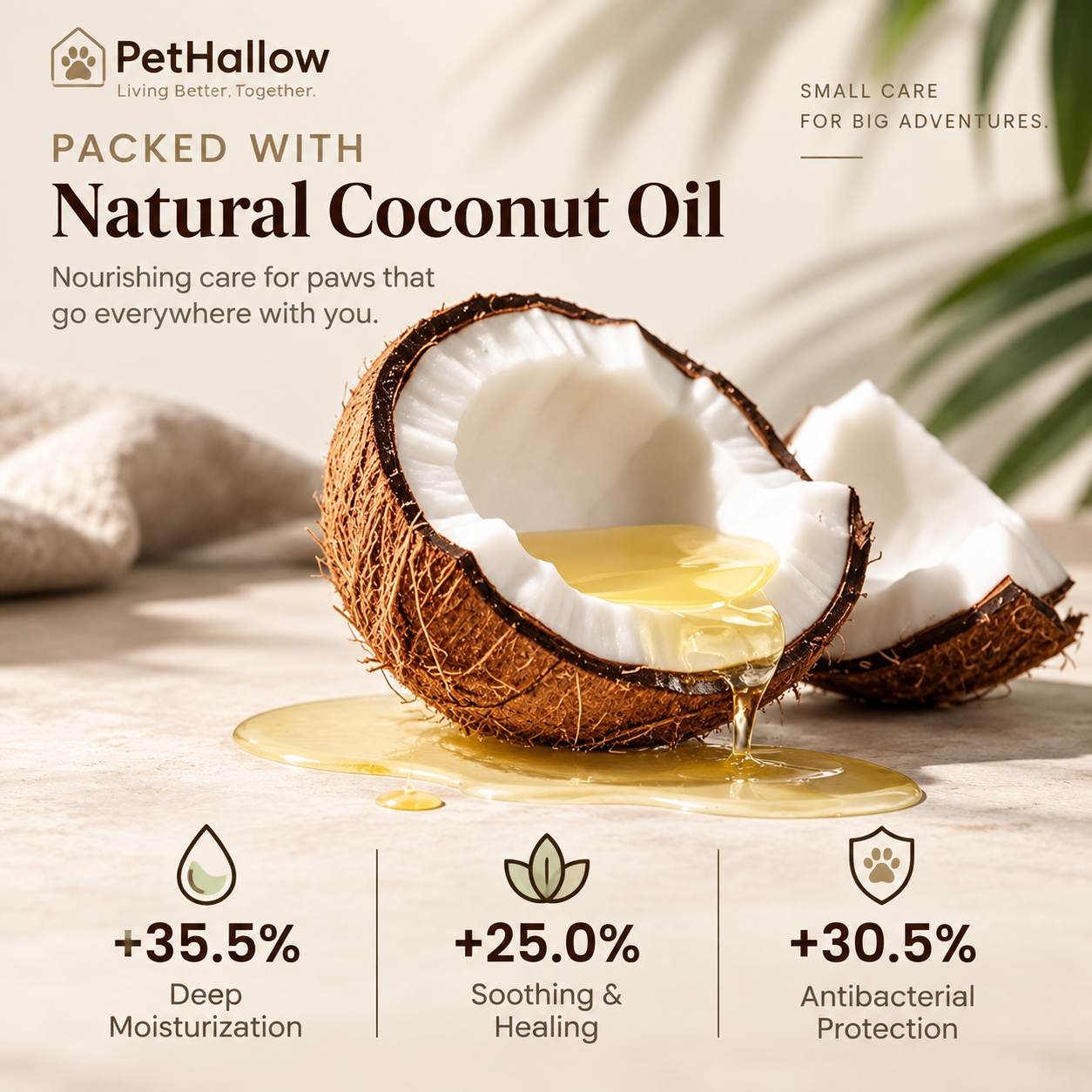 Natural oil ingredient concept for PetHallow Paw Balm