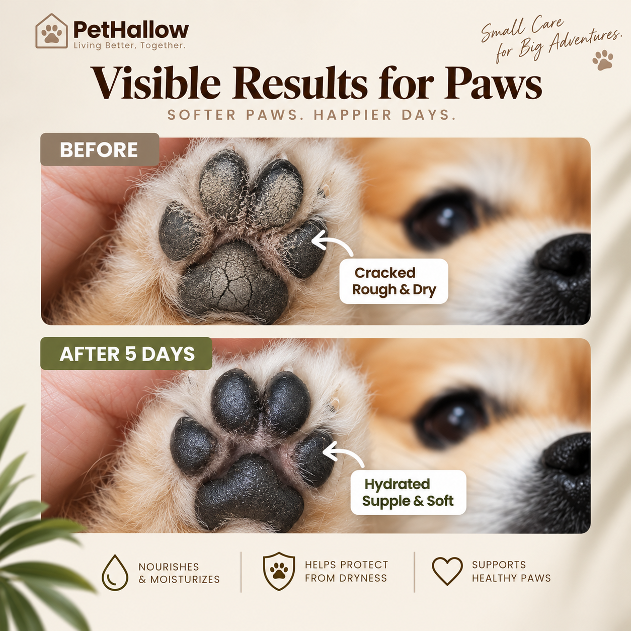 Close view of a dog's paw pads as a paw-care concept example